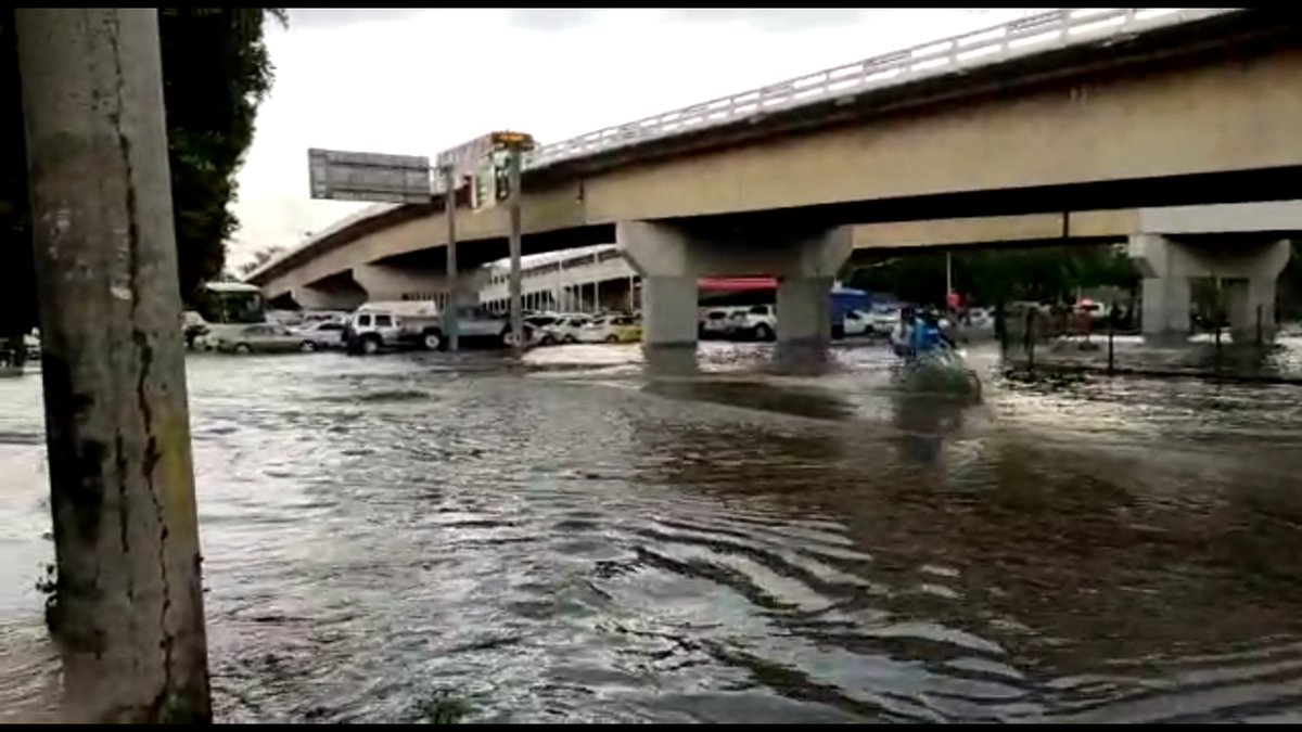 The rain accompanied by hail that fell this Wednesday affected the municipalities of Tonalá, Guadalajara and Zapopan left more than 12 trees fallen and on Colón Avenue 20 cars were stranded