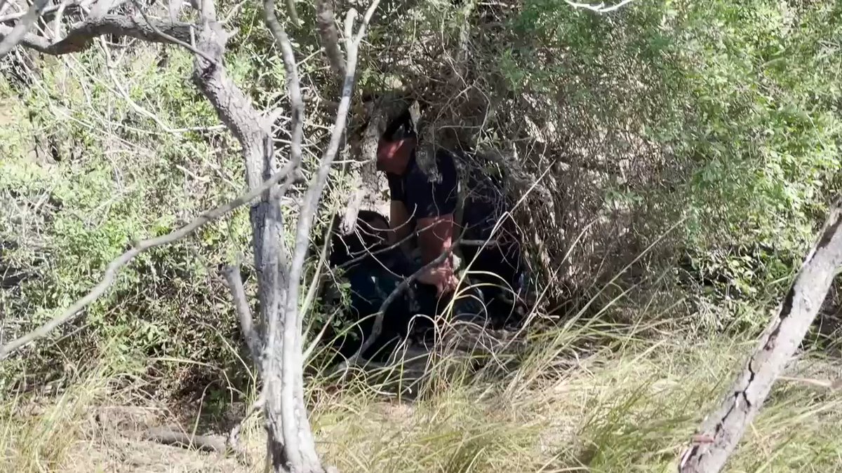 A group of illegal immigrant runners went sprinting past one of our vehicles in La Joya and hid in a brushy area. Border Patrol pursued. A helicopter was on scene within minutes to search for them. found 2 of them hiding in a bush. Agents arrived & arrested them