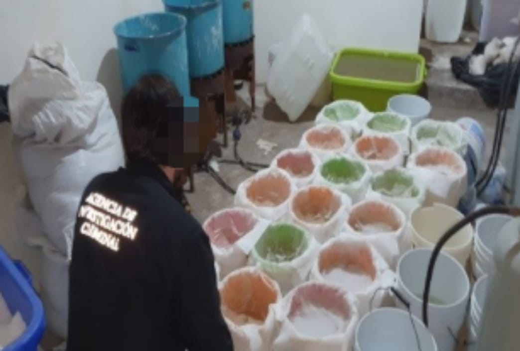 Sinaloa: They seize 4 tons of methamphetamine during a search of an address located in Culiacan. Acetone, heroin, fentanyl, in addition to scales, gas tanks and freezers were also seized.