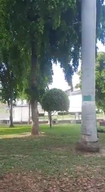 Vidéo supplémentaire des combats dans les secteurs de Tres Ríos et Tierra Blanca à Culiacan, Sinaloa