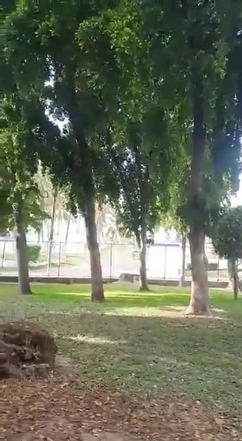 Culiacan, Sinaloa'daki Tres Ríos ve Tierra Blanca bölgelerindeki çatışmaların ek videosu