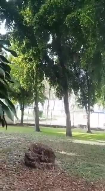 Culiacan, Sinaloa'daki Tres Ríos ve Tierra Blanca bölgelerindeki çatışmaların ek videosu