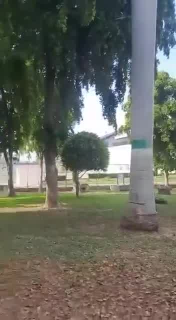 Vidéo supplémentaire des combats dans les secteurs de Tres Ríos et Tierra Blanca à Culiacan, Sinaloa