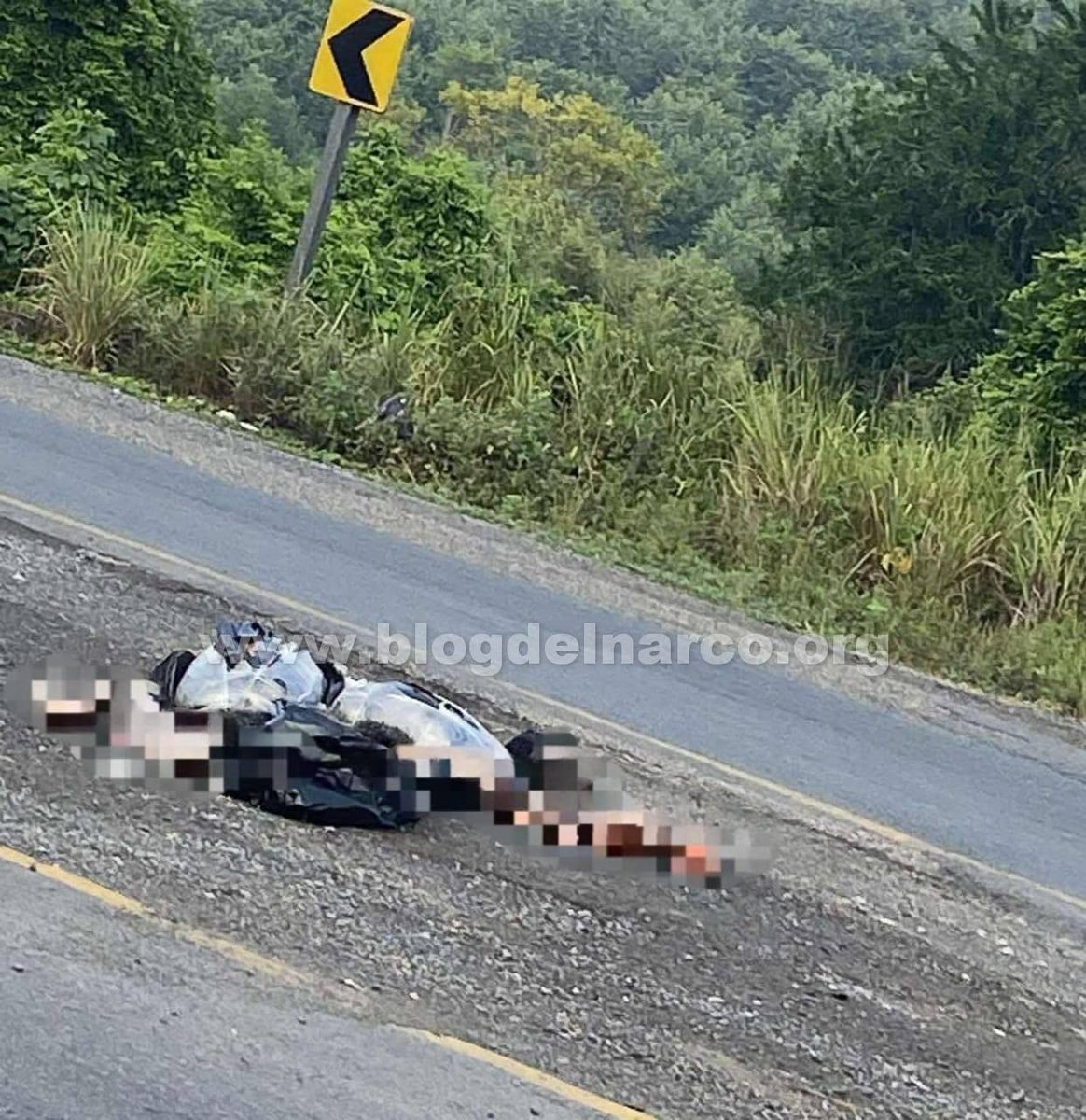 Hitmen kidnapped and dismembered a windshield wiper and a PEMEX retiree in Álamo, Veracruz.