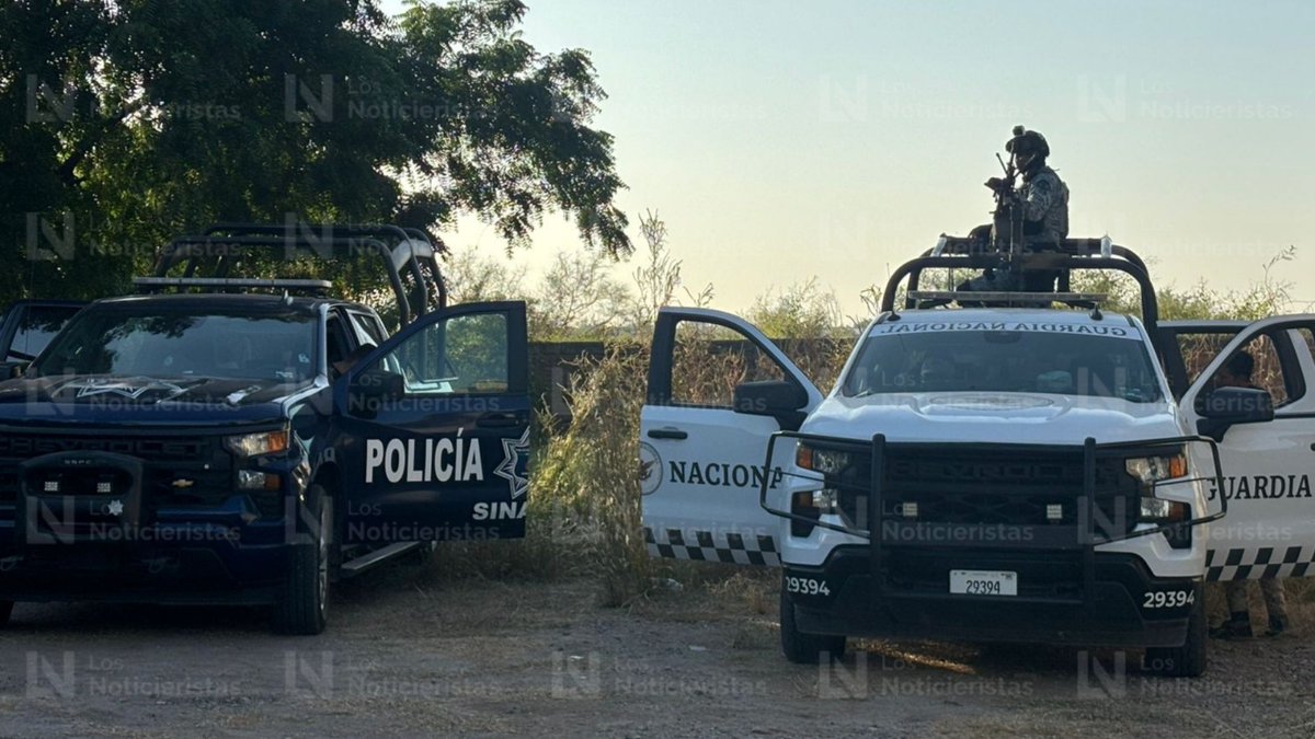Culiacán: Burned bone remains found on a property in Huertos del Pedregal in Bellavista, in the Culiacancito district