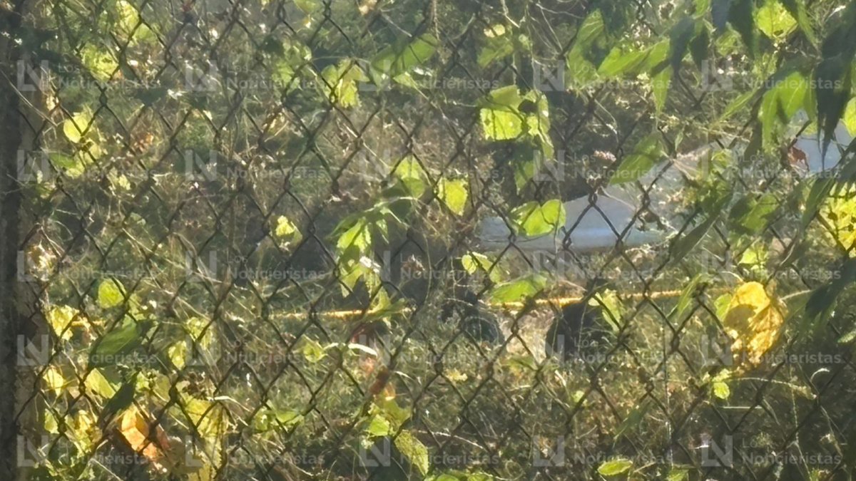 Culiacán: Burned bone remains found on a property in Huertos del Pedregal in Bellavista, in the Culiacancito district