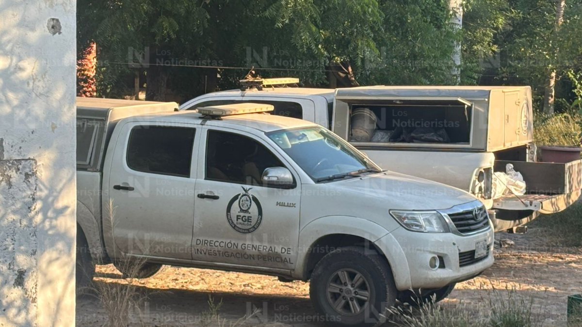 Culiacán: Burned bone remains found on a property in Huertos del Pedregal in Bellavista, in the Culiacancito district
