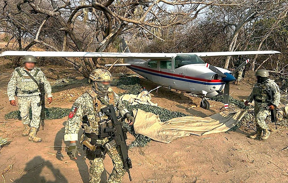 Oaxaca: The high-ranking official reported that they tracked the light aircraft and found 534 bricks of cocaine.