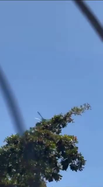 Mexikanische Militäroperation in Costa Rica und Sinaloa im Gange